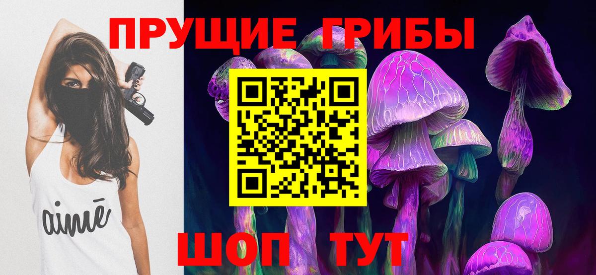 Псилоцибиновые грибы мухоморы Будённовск